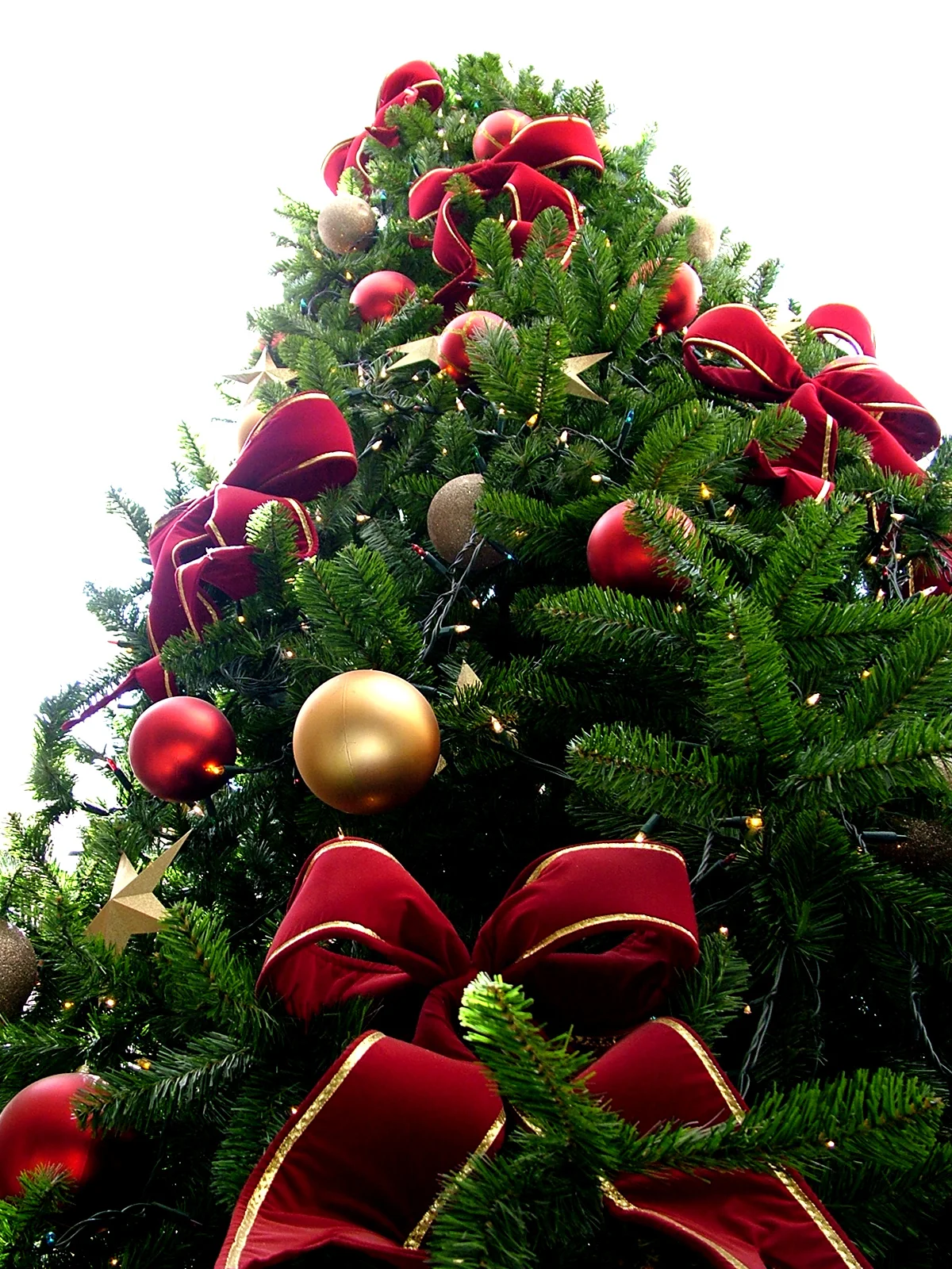 Sapin de Noël illuminé avec bougies, ambiance chaleureuse familiale, tradition protestante allemande.