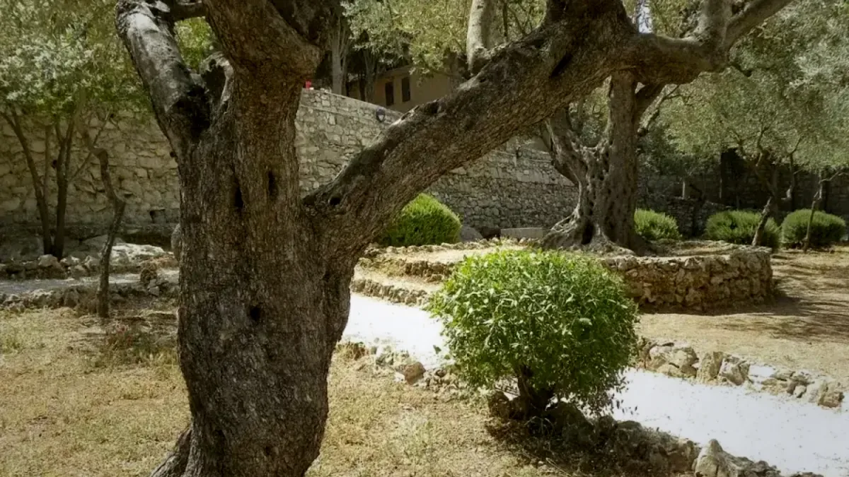 Écologie, création et jardins